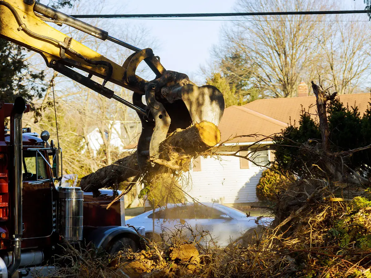 Strobo contracting emergency storm and debris clean up 1200x900