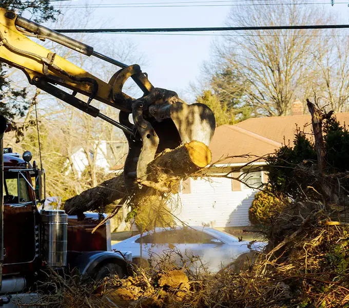 Strobo contracting emergency storm and debris clean up